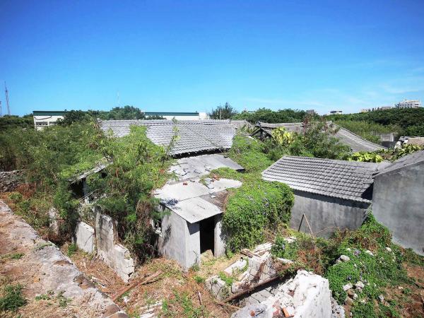 2019篤行十村記錄