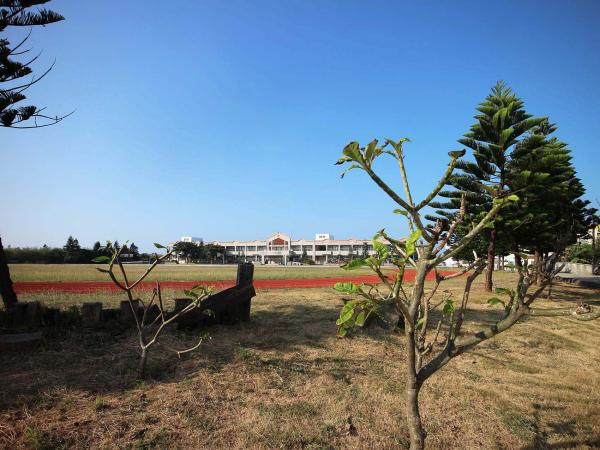 2019白沙國中記錄