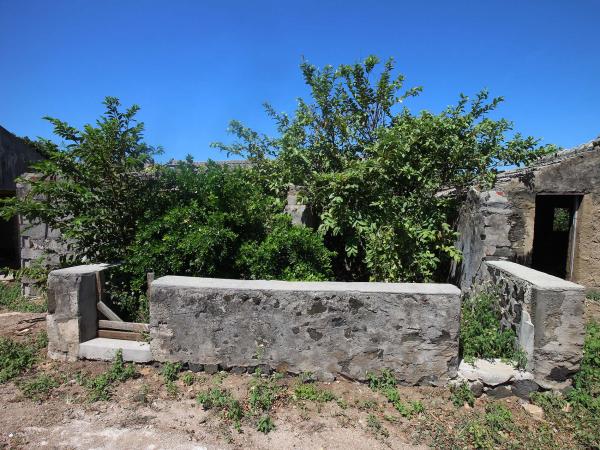 2019篤行十村記錄