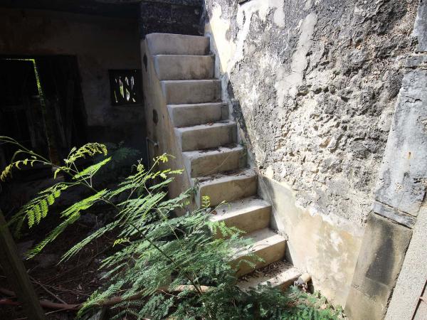 2019呂能古宅記錄