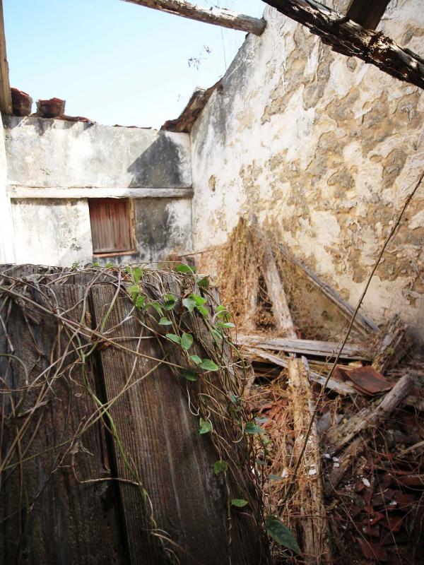 2019呂能古宅記錄