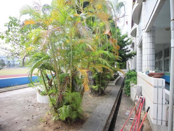 2019西溪國小記錄