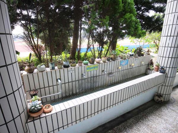 2019西溪國小記錄