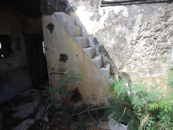 2019呂能古宅記錄