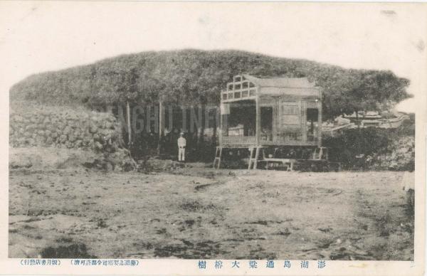 通梁古榕黑白影像記錄