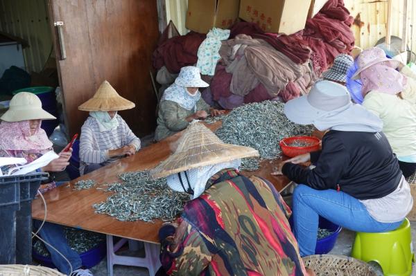 赤崁丁香咬山辨