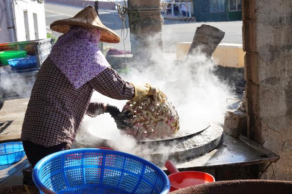 赤崁丁香咬山辨