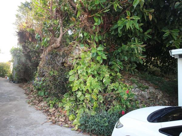 2019港底吳氏古宅記錄