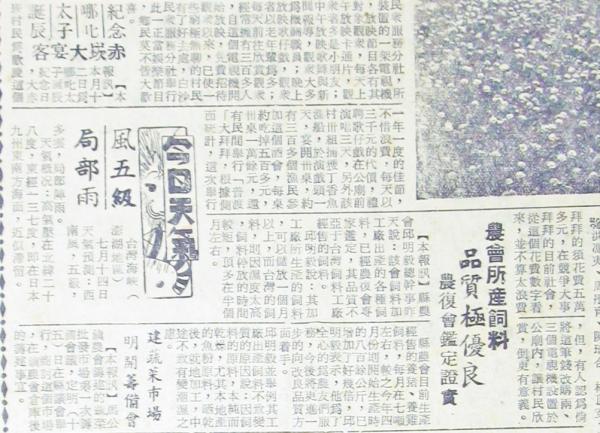 赤崁丁香咬山辨