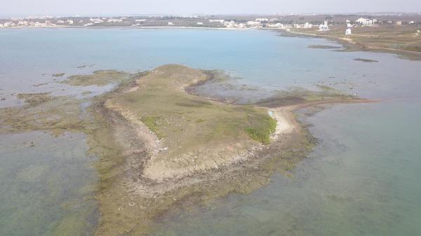 2020牛母件嶼記錄