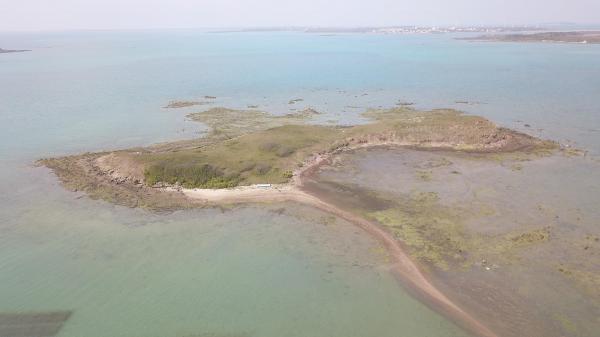 2020牛母件嶼記錄