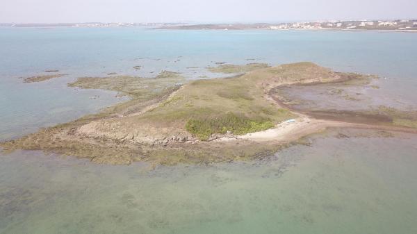 2020牛母件嶼記錄