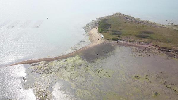 2020牛母件嶼記錄