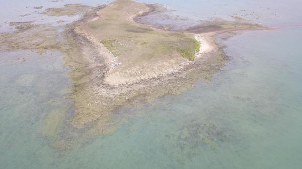 2020牛母件嶼記錄