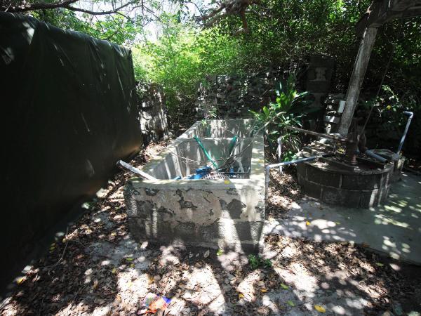 內垵薛氏古宅福成商店