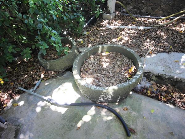 內垵薛氏古宅福成商店