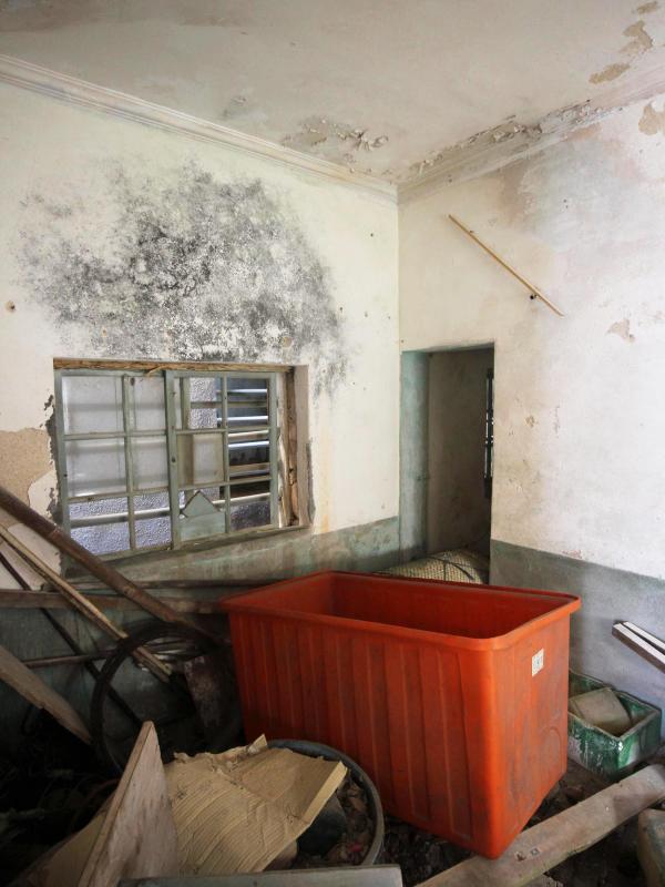 花嶼陳氏古厝89號