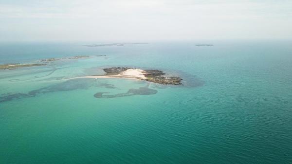 2020大白沙嶼記錄