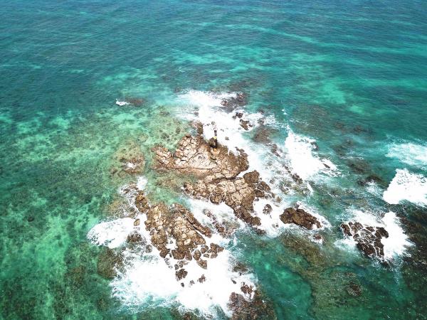 2020小燈火礁記錄