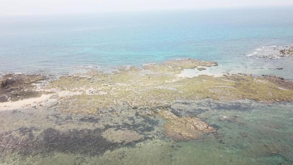 2020土地公嶼記錄