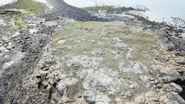 2020土地公嶼記錄