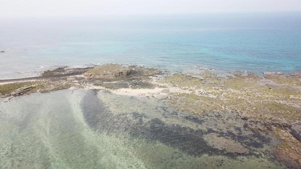 2020土地公嶼記錄