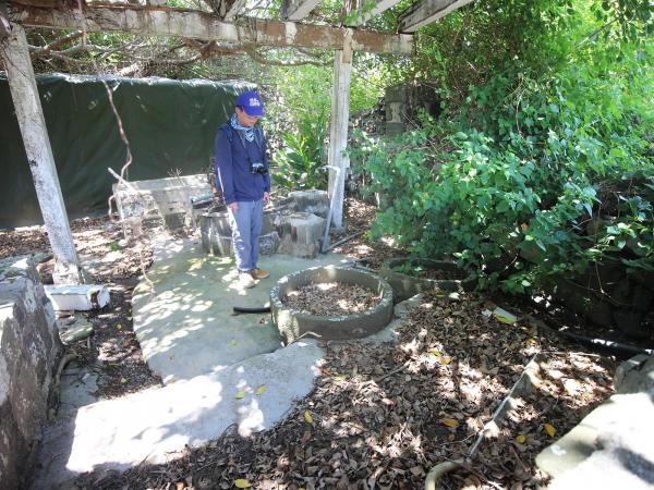 內垵薛氏古宅福成商店