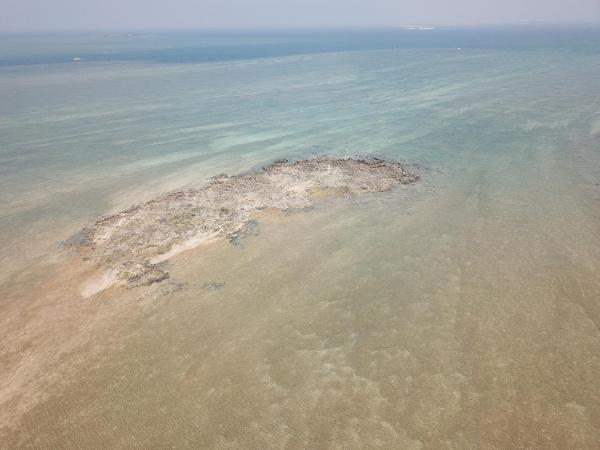 2020龍頭礁大漢礁中礁記錄