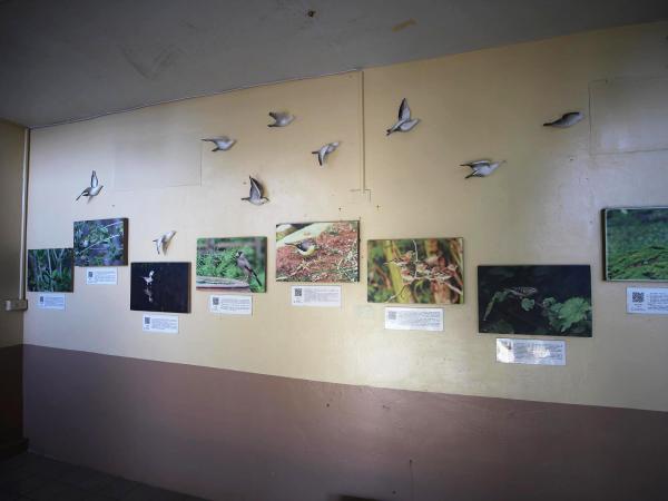 2020花嶼國小記錄