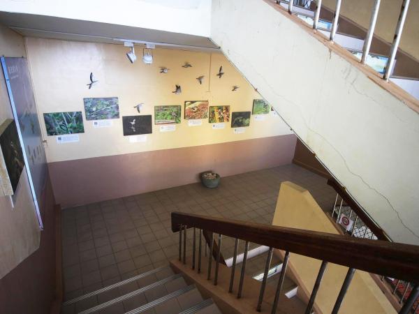 2020花嶼國小記錄