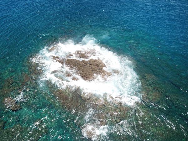 2020船帆嶼塭記錄