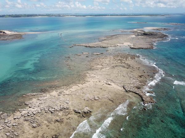 2020土地公嶼記錄