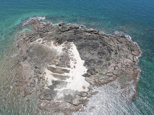 2020大柴面礁記錄