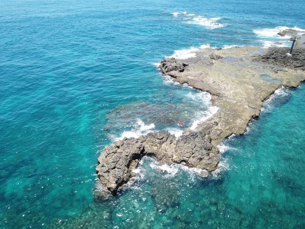 2020船帆嶼塭記錄