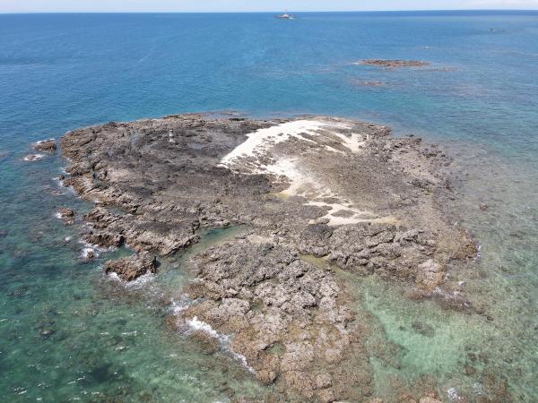 2020大柴面礁記錄