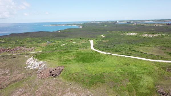 2020將軍澳嶼記錄