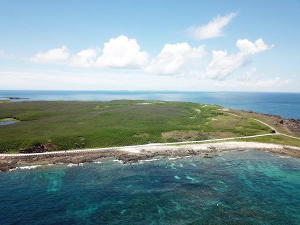 2020將軍澳嶼記錄