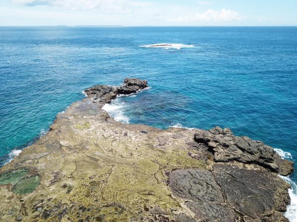 2020船帆嶼塭記錄