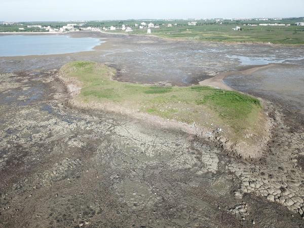 2020牛母件嶼記錄