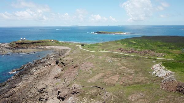 2020將軍澳嶼記錄