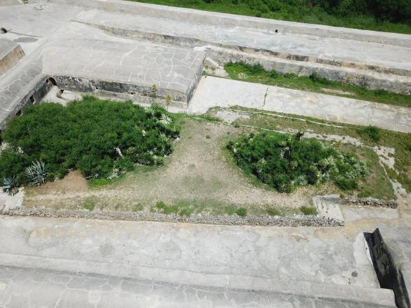 2020西嶼西臺記錄