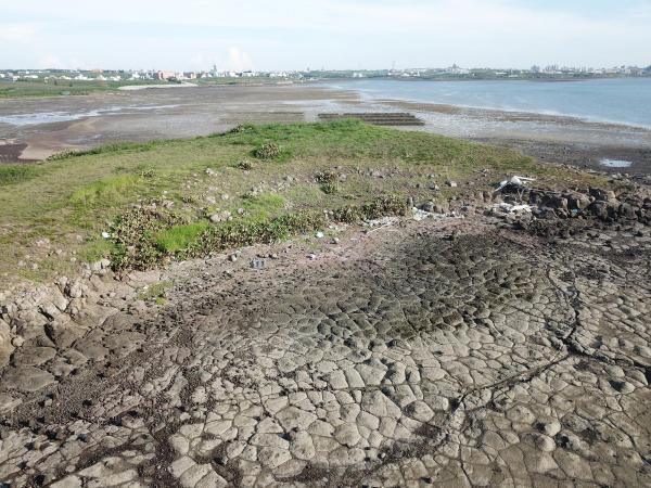 2020牛母件嶼記錄