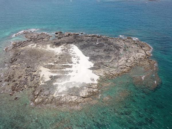 2020大柴面礁記錄