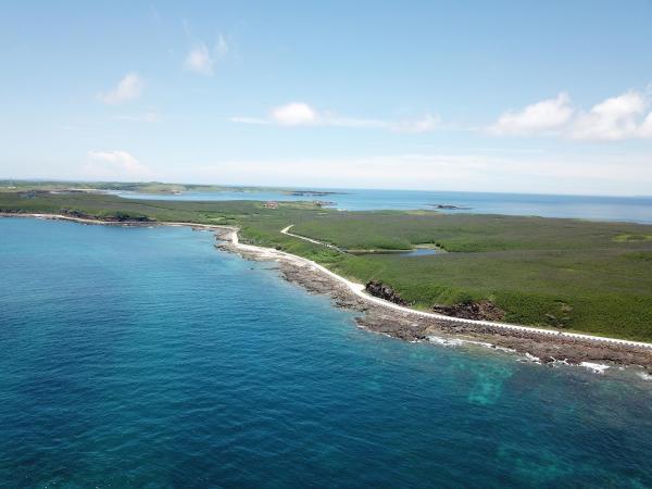 2020將軍澳嶼記錄