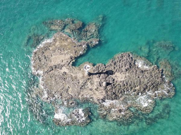 2020大燈火礁記錄