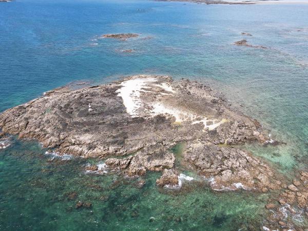 2020大柴面礁記錄