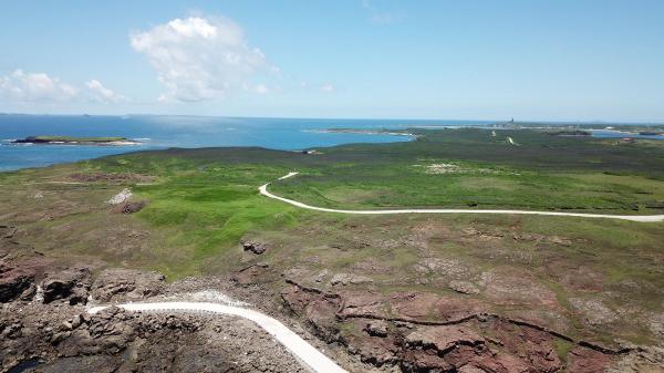 2020將軍澳嶼記錄