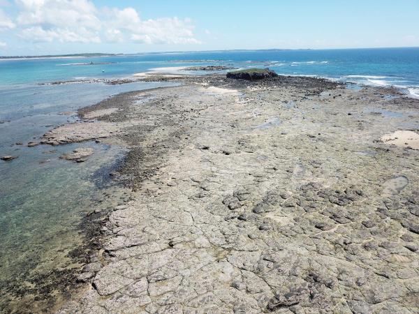 2020土地公嶼記錄