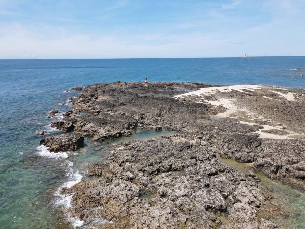 2020大柴面礁記錄