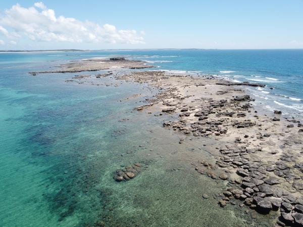 2020土地公嶼記錄